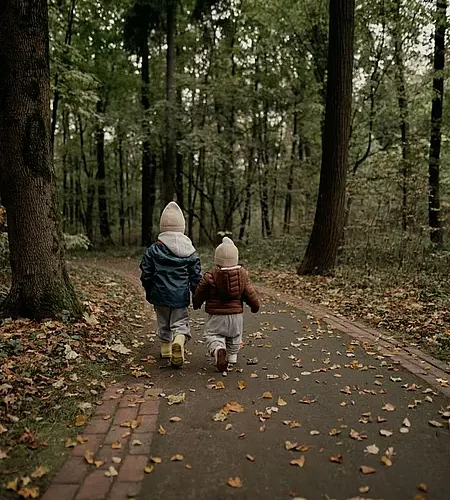 forest